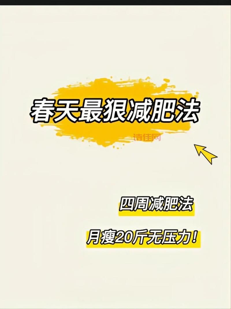 减肥吧：记录你的减肥历程，见证蜕变（减肥吧：从今天开始，瘦成你想要的样子）