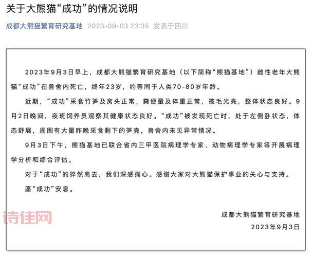 大熊猫“团团”解剖进行中：病理报告预计14至21天后公布