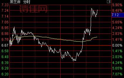 000716黑芝麻股票：实时行情走势分析