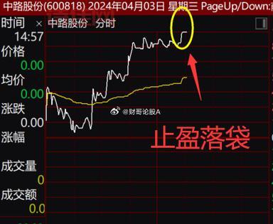 000716黑芝麻股票：实时行情走势分析