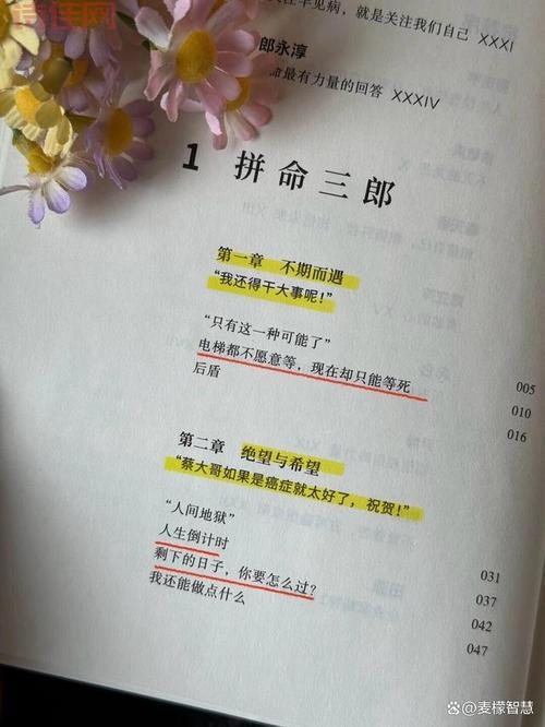 光明之心PC版：精装升级，京东商家陷阱揭秘