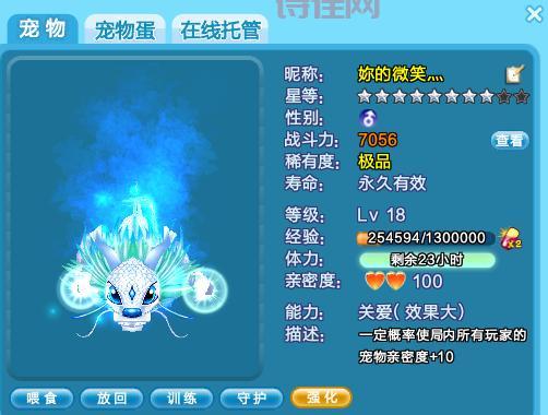 炫舞宠物快速升级攻略：从新手到大神！