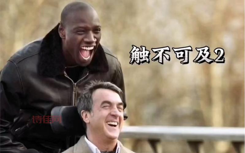 无法触碰下载：亿万富豪与黑人青年的温暖故事