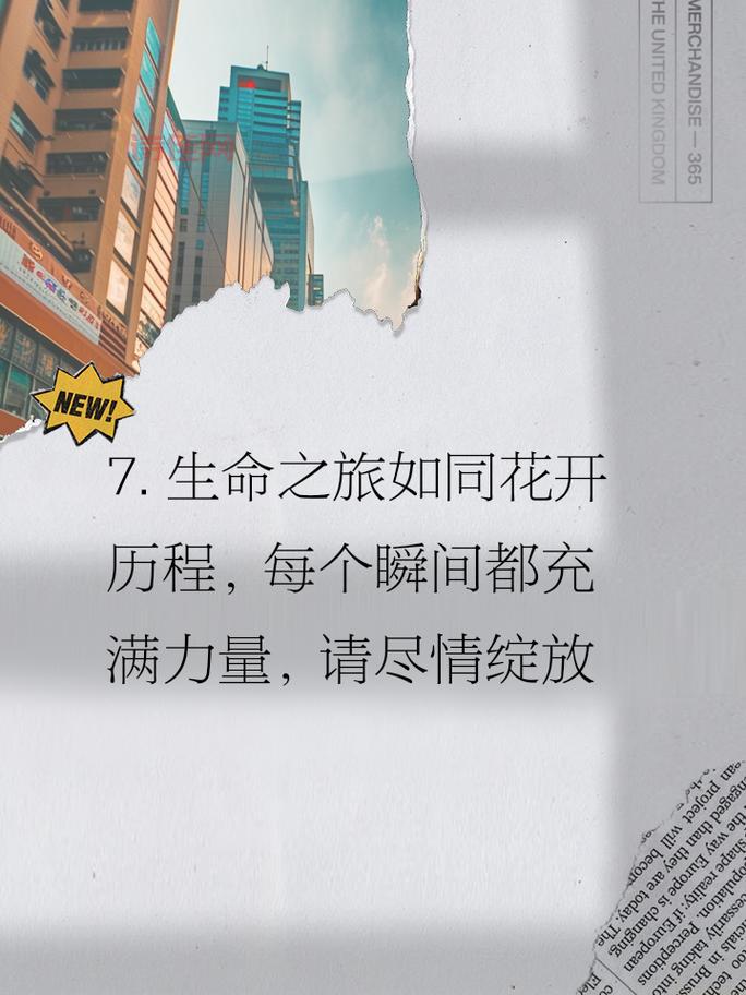 昆仑悟：追寻心灵平静，感受生命之美