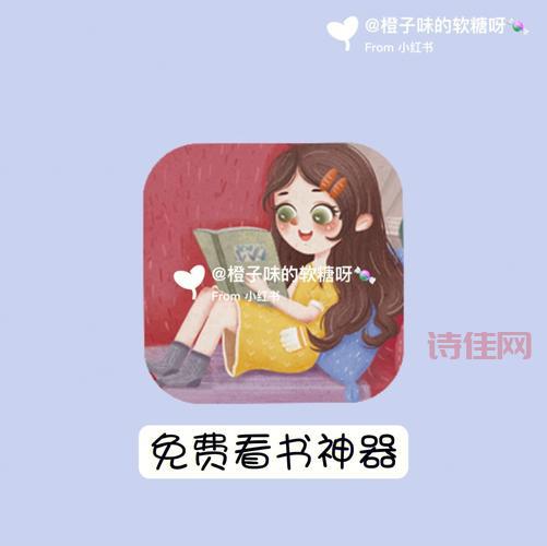 宝书网手机版下载：丰富书源，自由切换，在线搜索