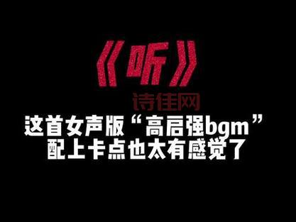 成熟交bgmbgmbgm价格揭秘：基础版vs豪华版，哪款更适合你？