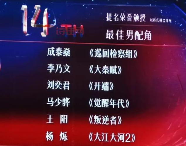 第九届金鹰奖颁奖典礼精彩回顾：最佳作品与获奖名单揭晓