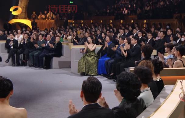 第九届金鹰奖颁奖典礼精彩回顾：最佳作品与获奖名单揭晓