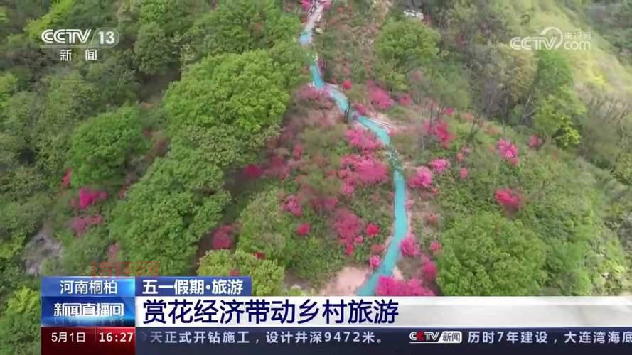 “五一”出游正升温 文旅复苏绽新颜