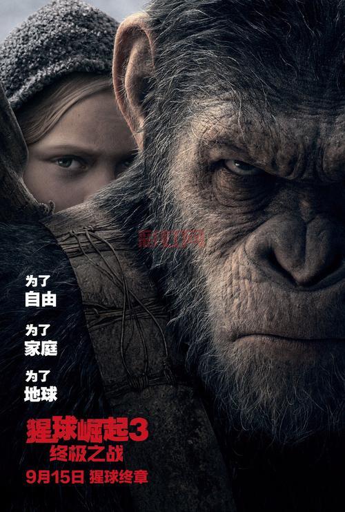 绝命时刻高清版：揭开生死存亡的终极秘密