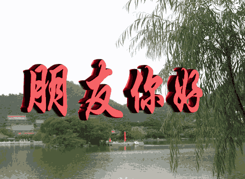 桦南教育信息网：全面了解桦南县教育动态与资源