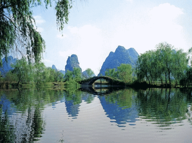 桦南教育信息网：全面了解桦南县教育动态与资源