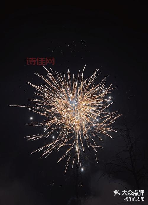 惊呆了！春节竟有600万人境外过节，都去哪儿了？