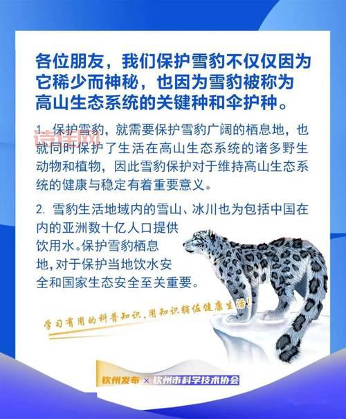 世界雪豹日