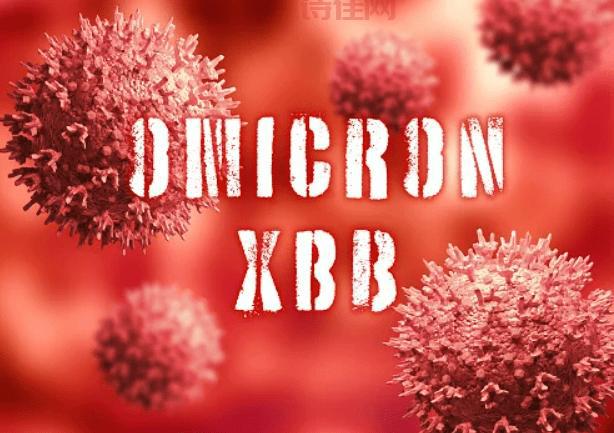XBB.1.5