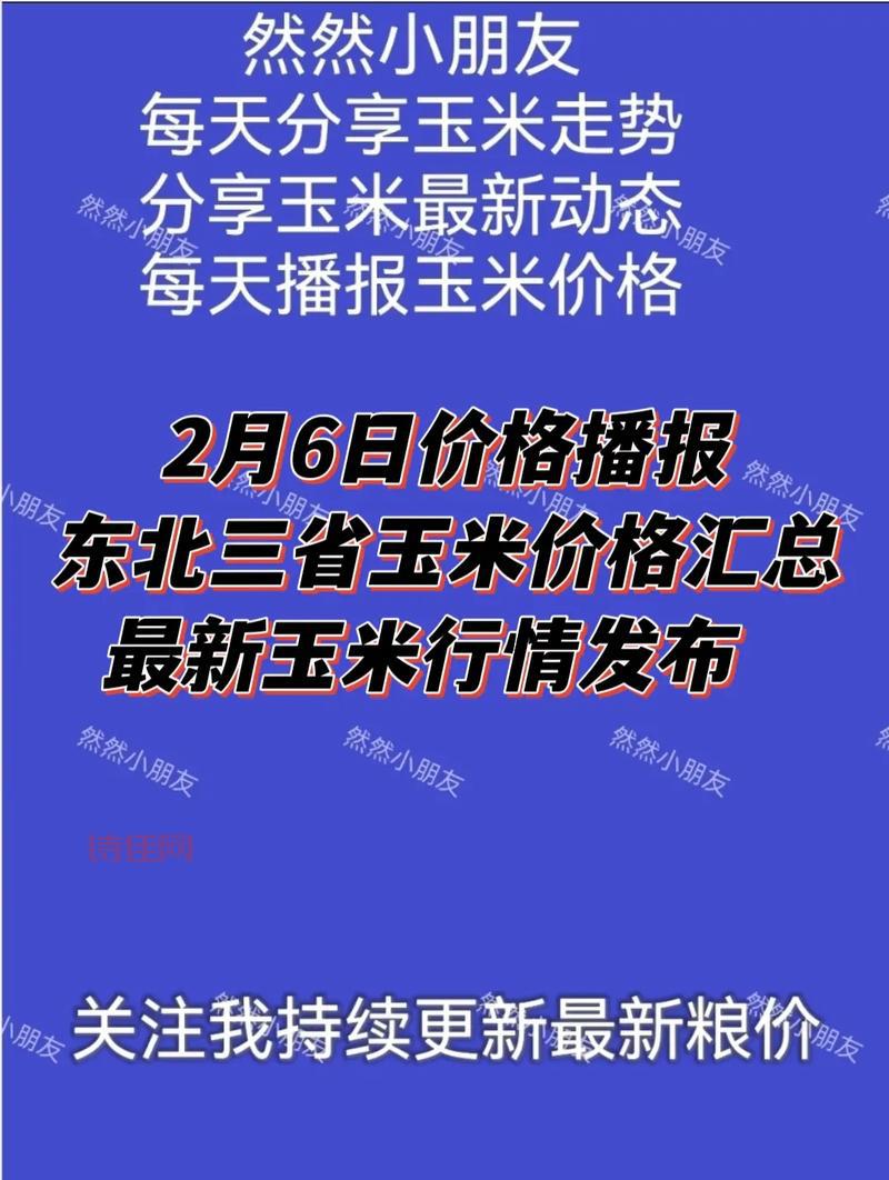 东北玉米行情