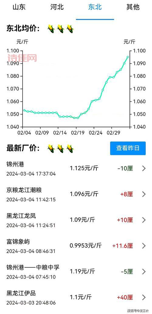 东北玉米行情