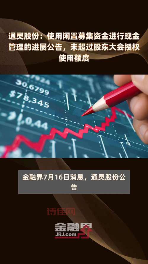 大显股份最新公告，股东大会都说了些啥？