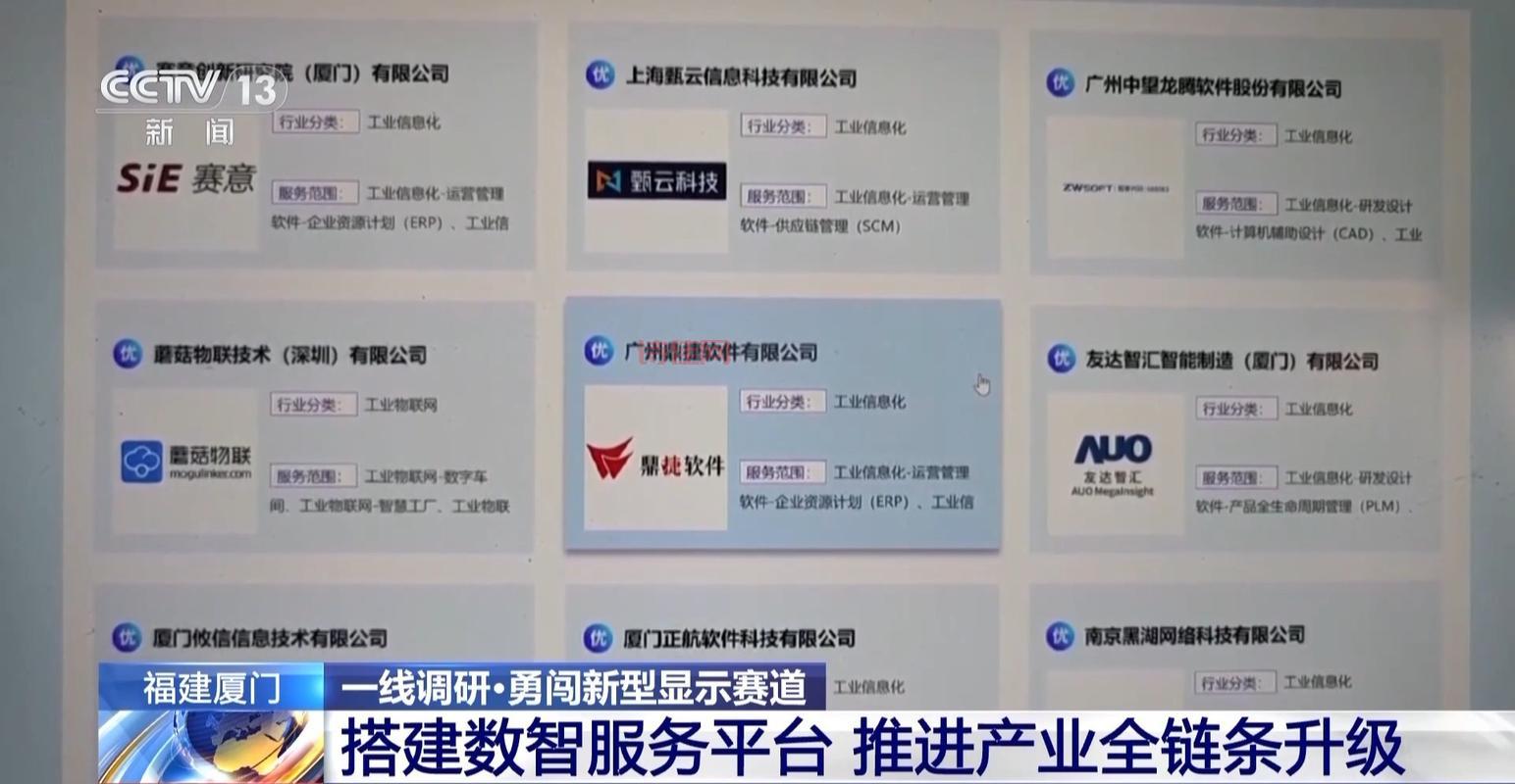大显股份最新公告，股东大会都说了些啥？