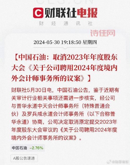 大显股份最新公告，股东大会都说了些啥？