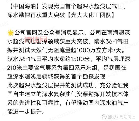 大显股份最新公告，股东大会都说了些啥？