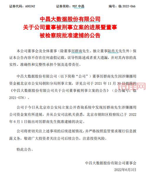大显股份最新公告，股东大会都说了些啥？