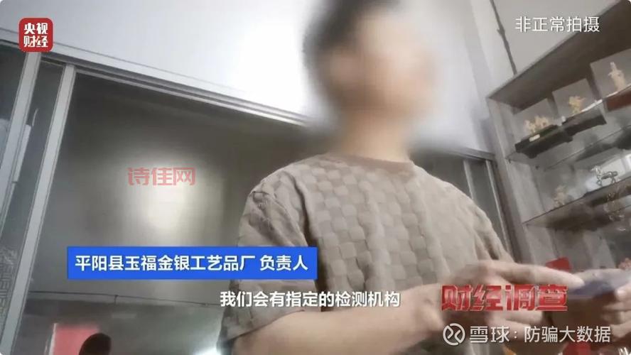 震惊！央视起底胜通集团财务造假案，手法太low！