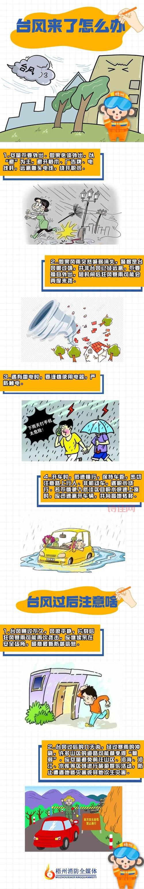 沪市公告影响有多大？专家分析来了带你避风险！