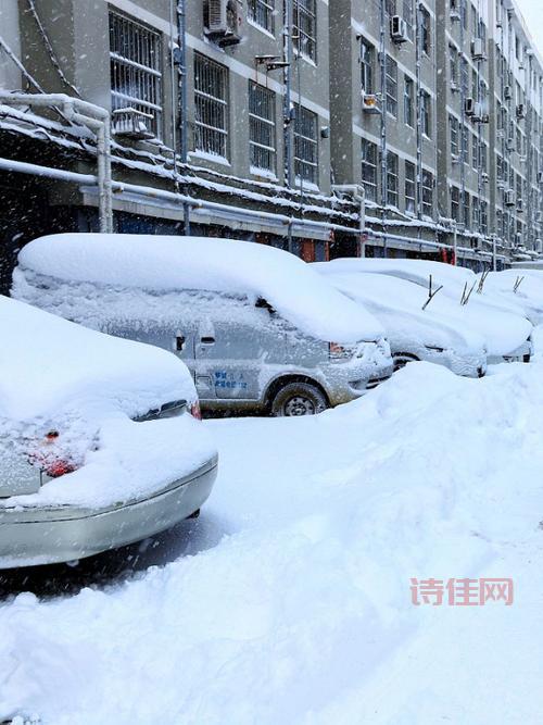 南方多地暴雪