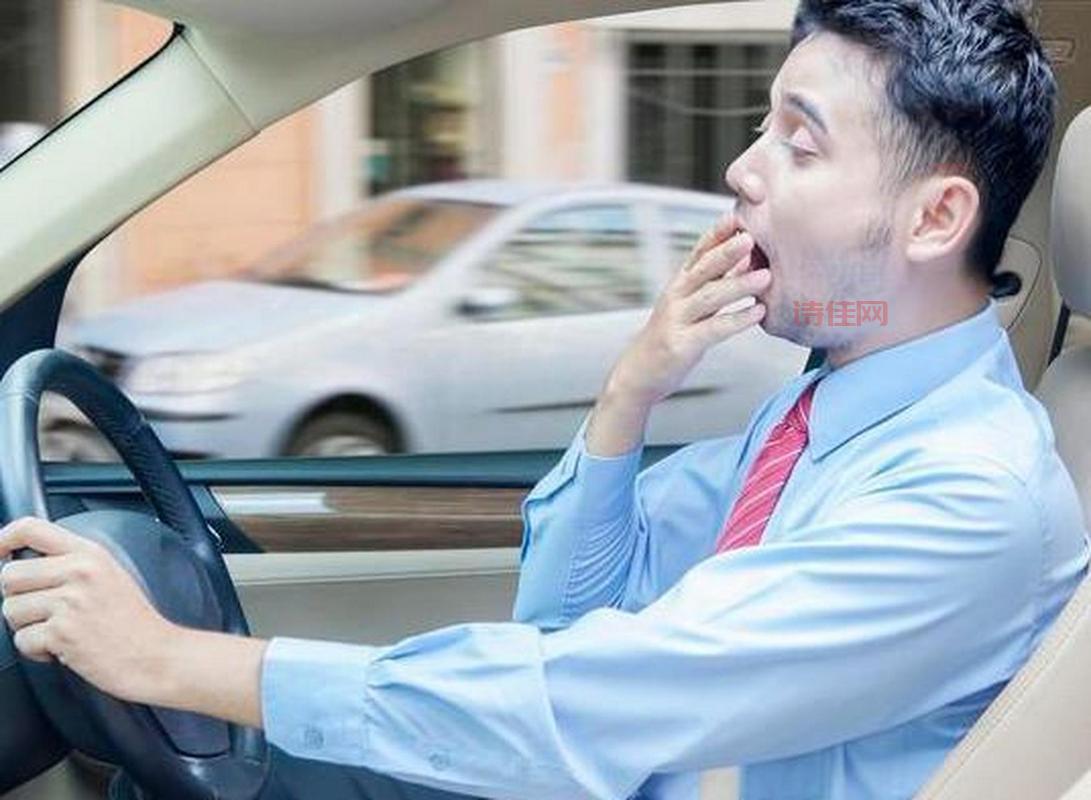 机动车驾驶