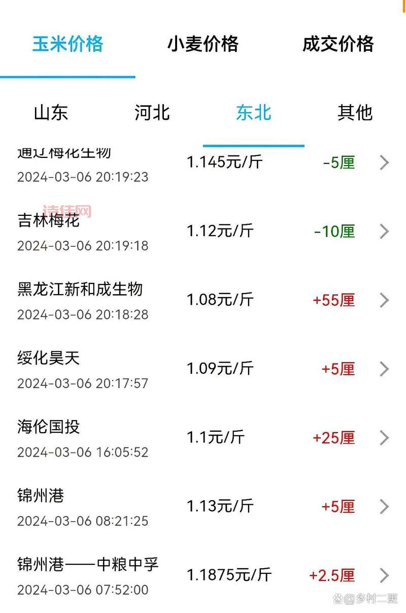 山东玉米价格