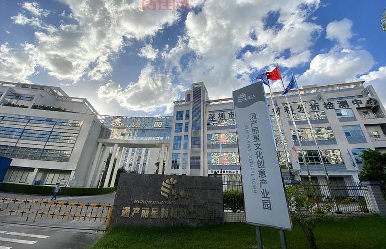 通产丽星定向增发