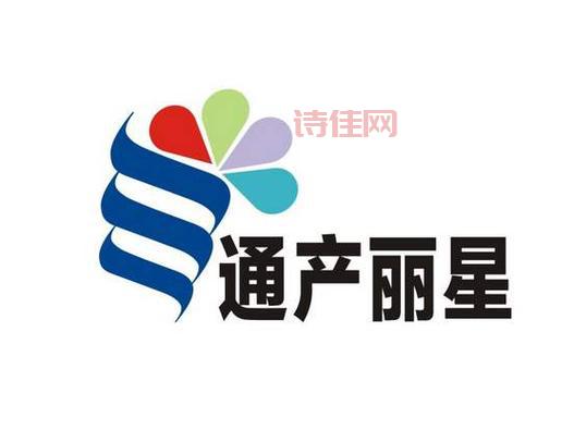 通产丽星定向增发