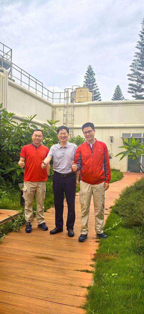 通产丽星定向增发