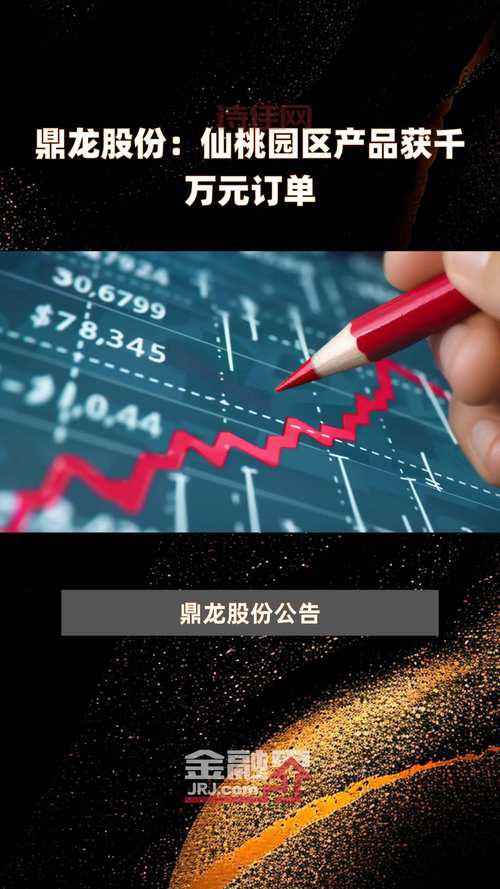 鼎龙文化股份有限公司