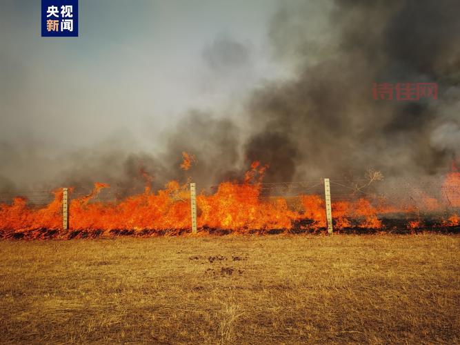 蒙古大火真烧到中国了？官方回应来了！