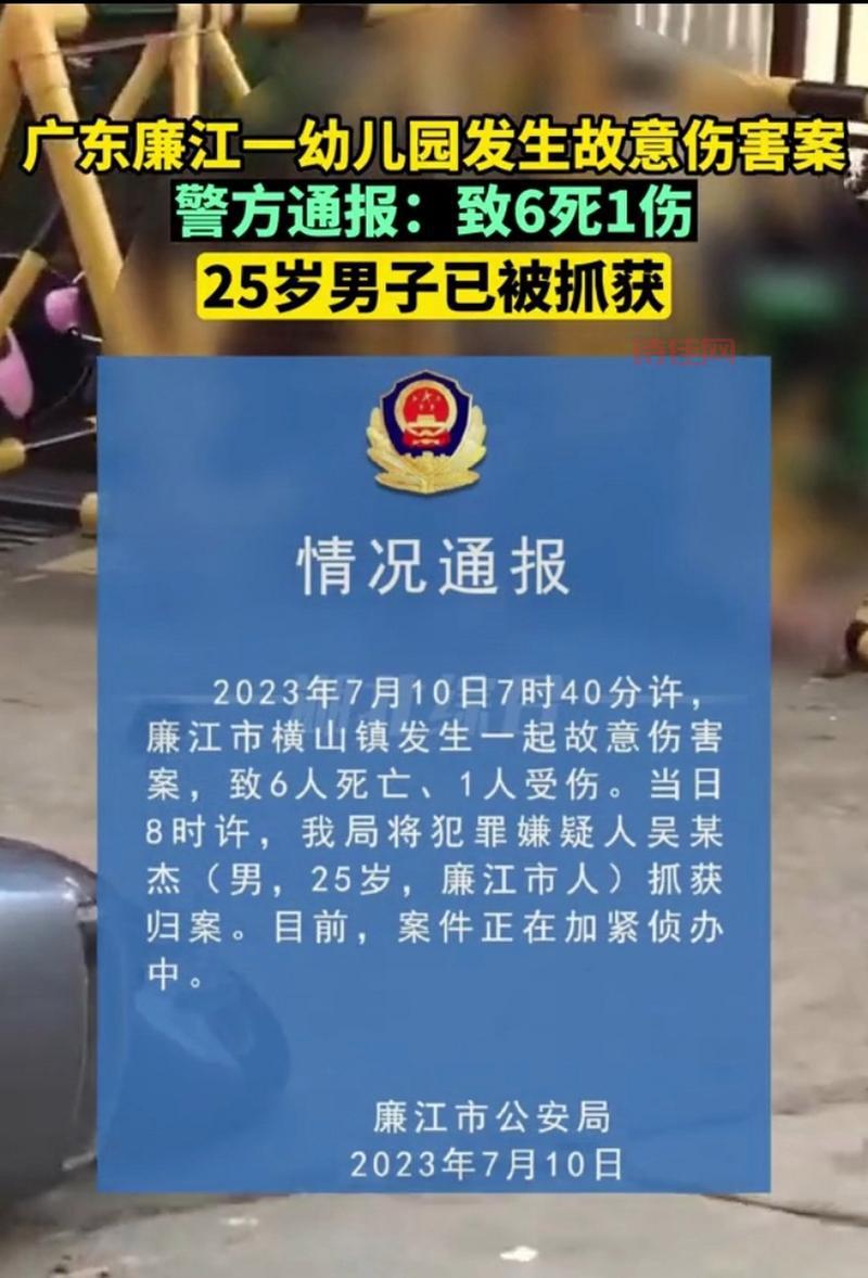 廉江故意伤害案25岁嫌犯落网，案件细节披露！