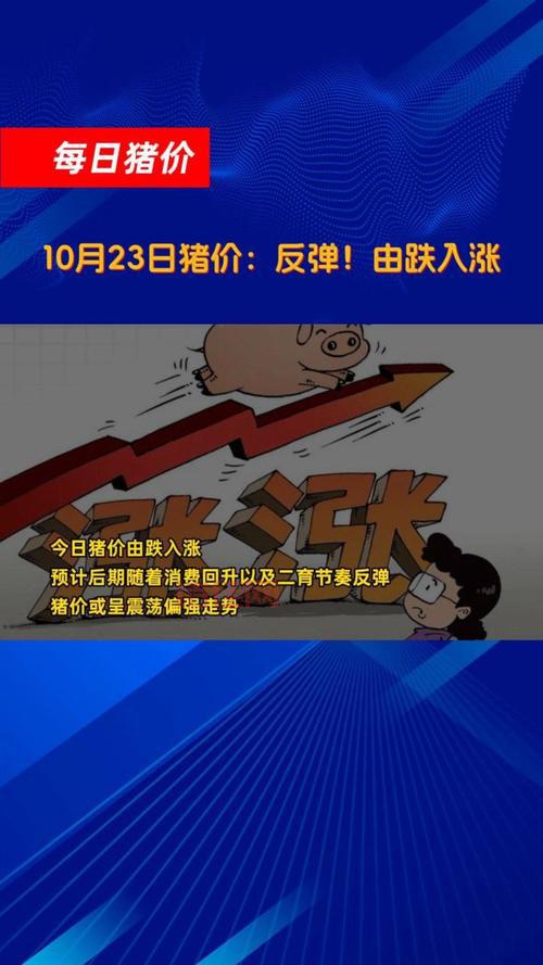 猪价一周反弹超30%，还会继续涨下去吗？