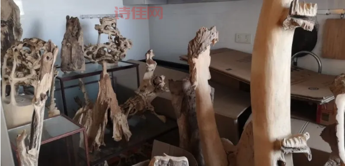 海南32人涉黑案宣判大快人心！正义终将战胜邪恶！