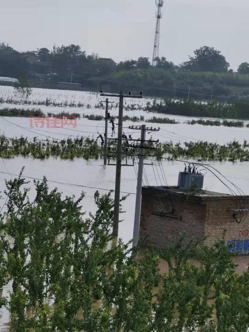 陕西大荔降雨受灾严重吗？当地采取了哪些措施？