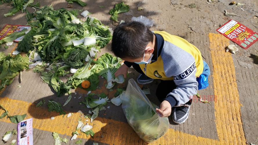 13岁男孩离家捡菜叶住桥洞一月