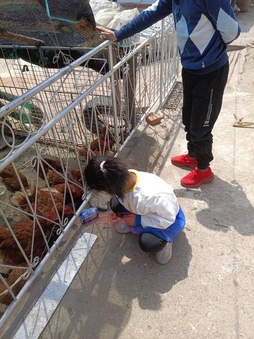 13岁男孩离家捡菜叶住桥洞一月