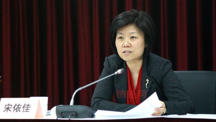 宋依佳任重庆市纪委书记