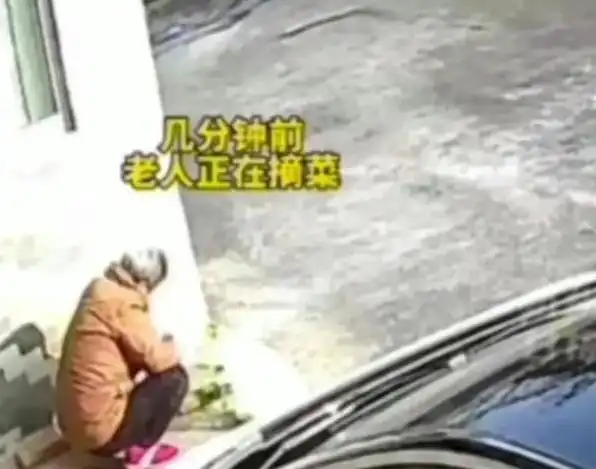 闹大了！女子开车不慎撞倒外婆后续：更多细节曝光，疑与舅舅决裂