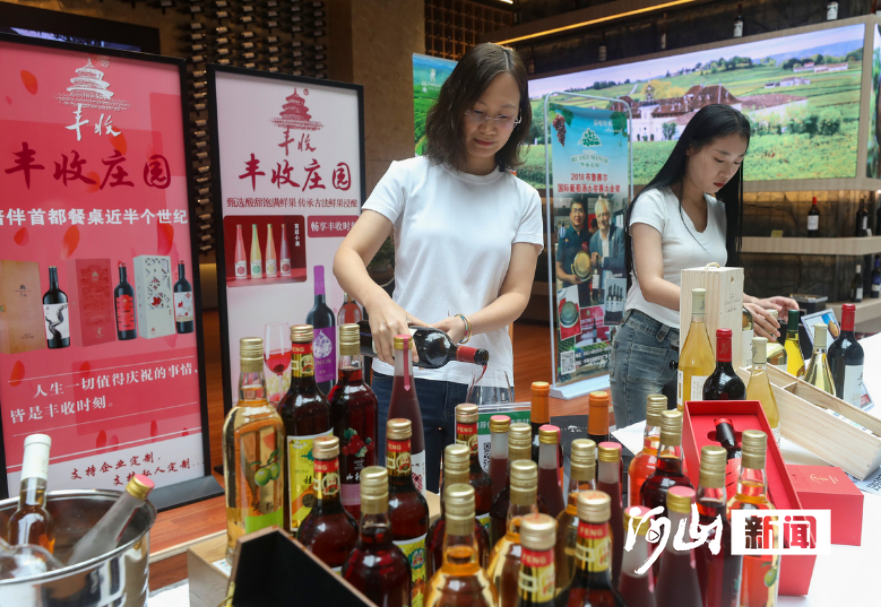 从“葡萄酒摇篮”到“世界级产区”——解码中国葡萄酒产业转型的“怀来样本”