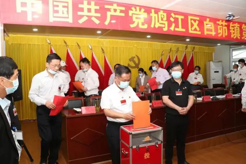 鸠江区坚持“四抓四在先” 圆满完成镇党委换届