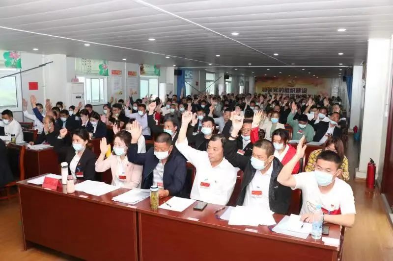 鸠江区坚持“四抓四在先” 圆满完成镇党委换届