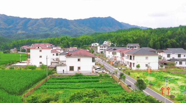 来自绿水青山的回响——靖安县以“两山转化”促乡村振兴见闻