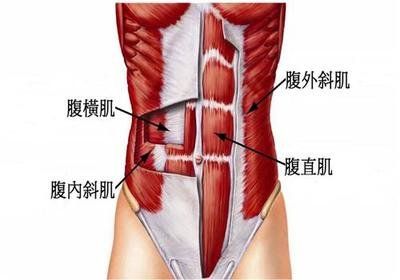 每天坚持练腹肌效果却不好？注意5点练6个动作，高效率练出马甲线