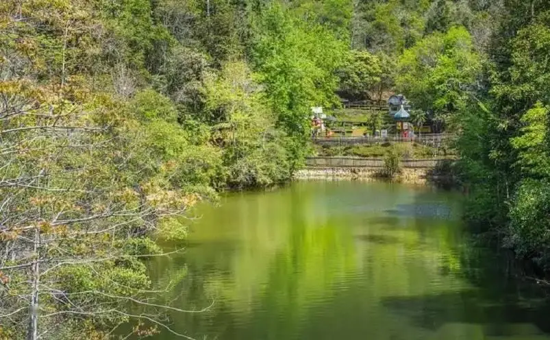 龙岩十大景点，去过九处才算真正玩转龙岩